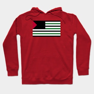 United States of Palestine Hoodie